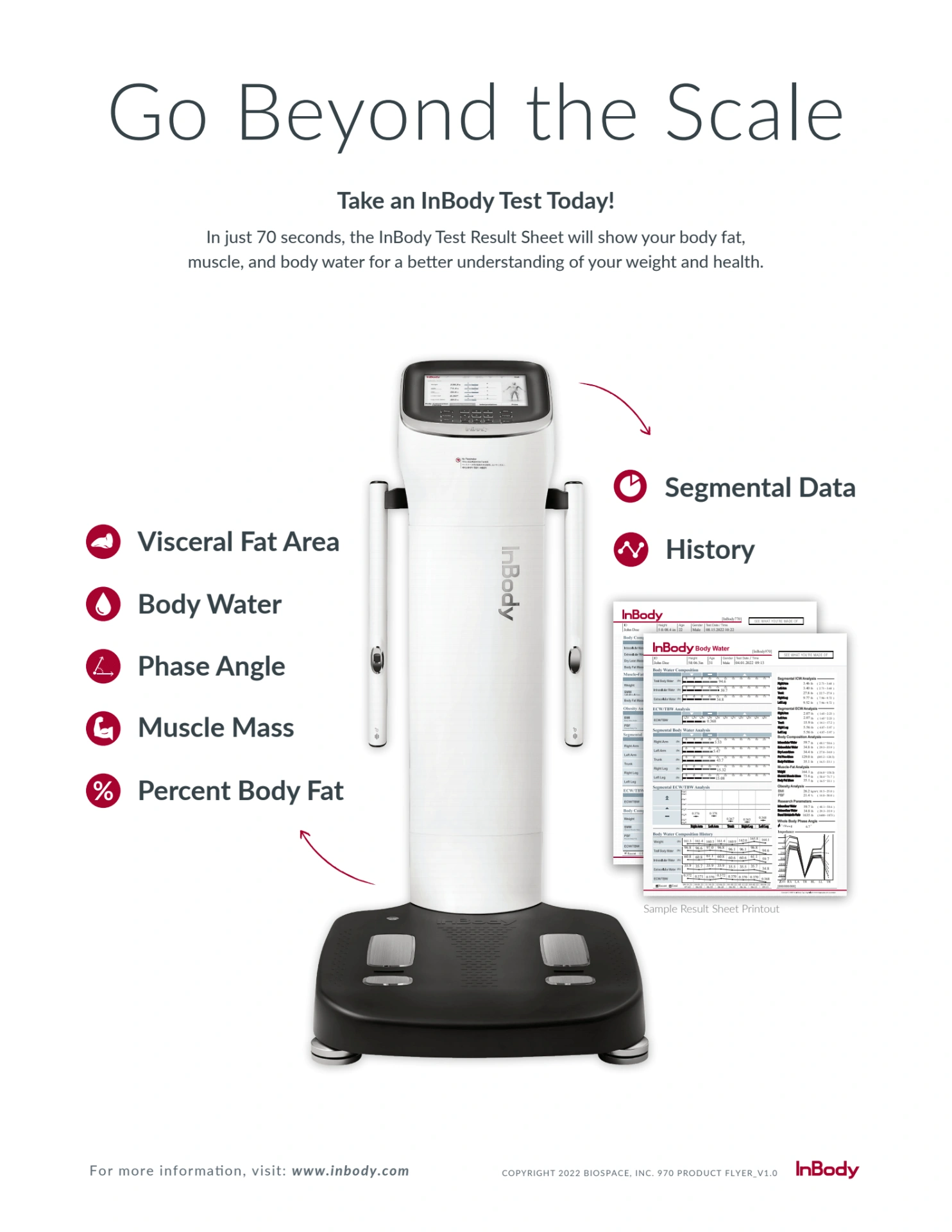 InBody body composition analysis — measure visceral fat, body water, phase angle, muscle mass, and percent body fat.